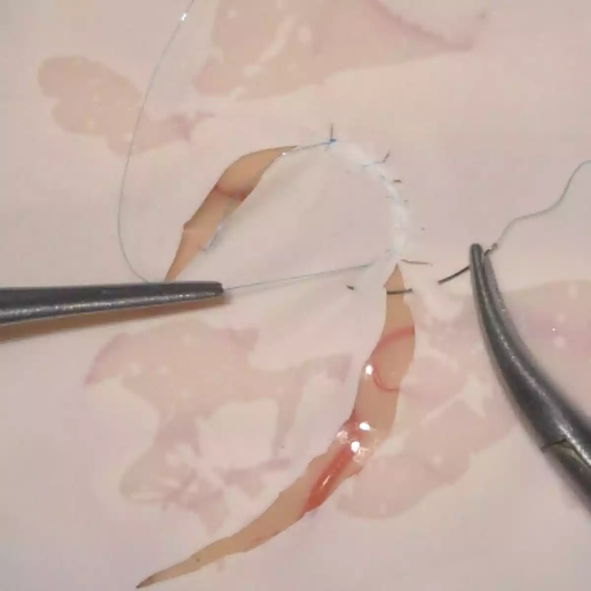  Mycro-trainingssysteem voor microvasculaire anastomosen en microhechtingen