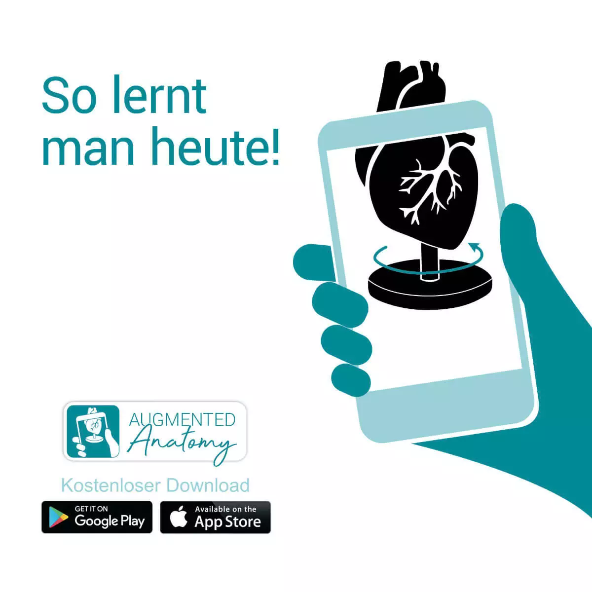  Luchtwegmodel
