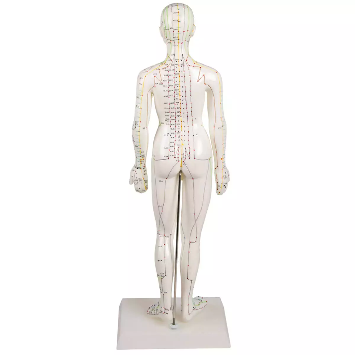  Acupunctuur figuur