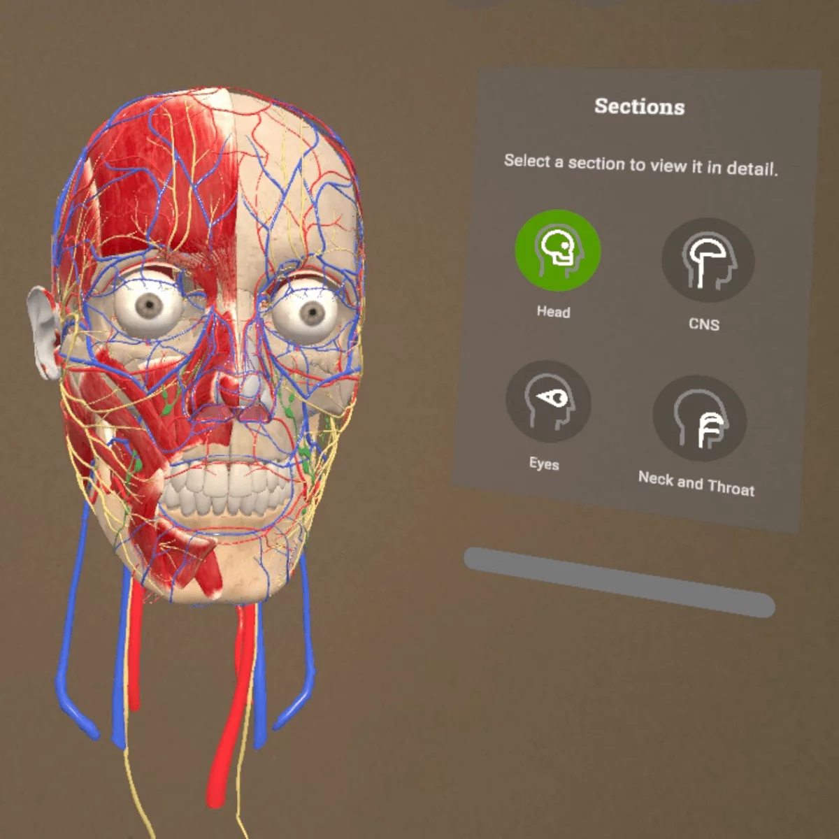 Mixed reality anatomie-app “Corpus” voor Meta Quest 3/3S