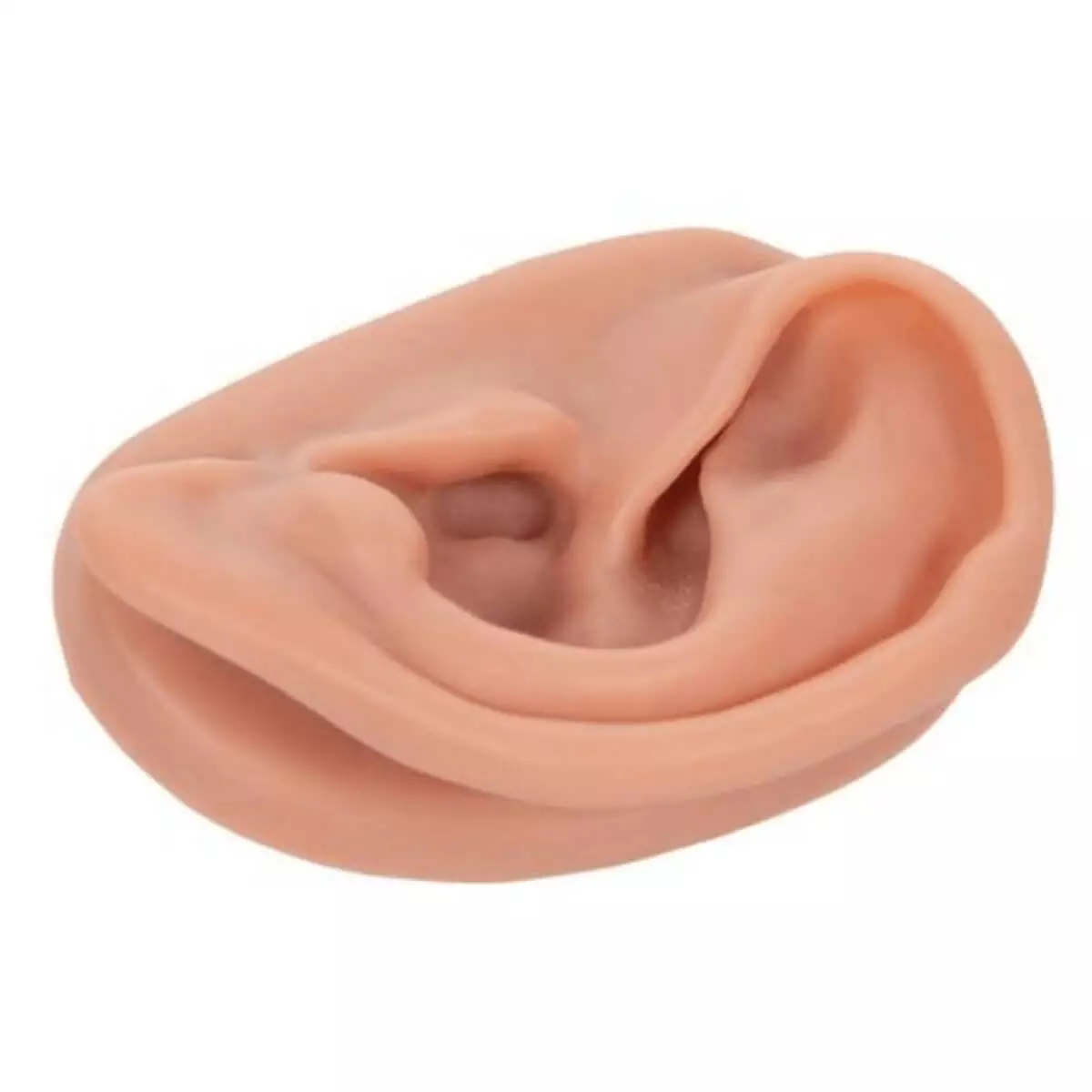  Acupunctuur oor