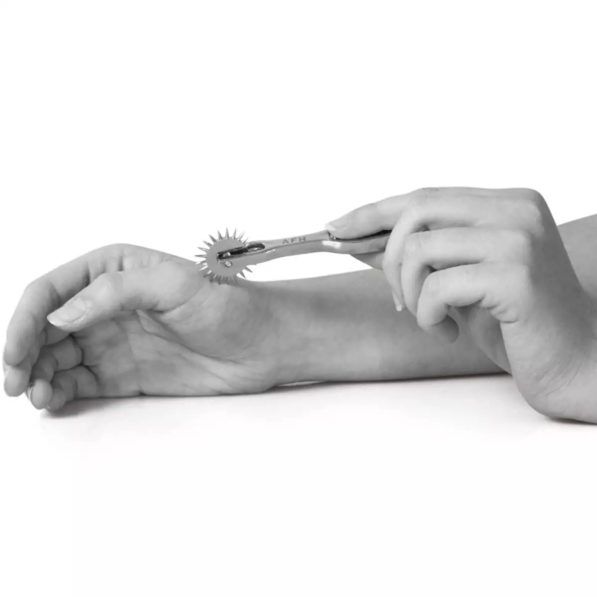  Wartenberg naaldenrad pocket versie