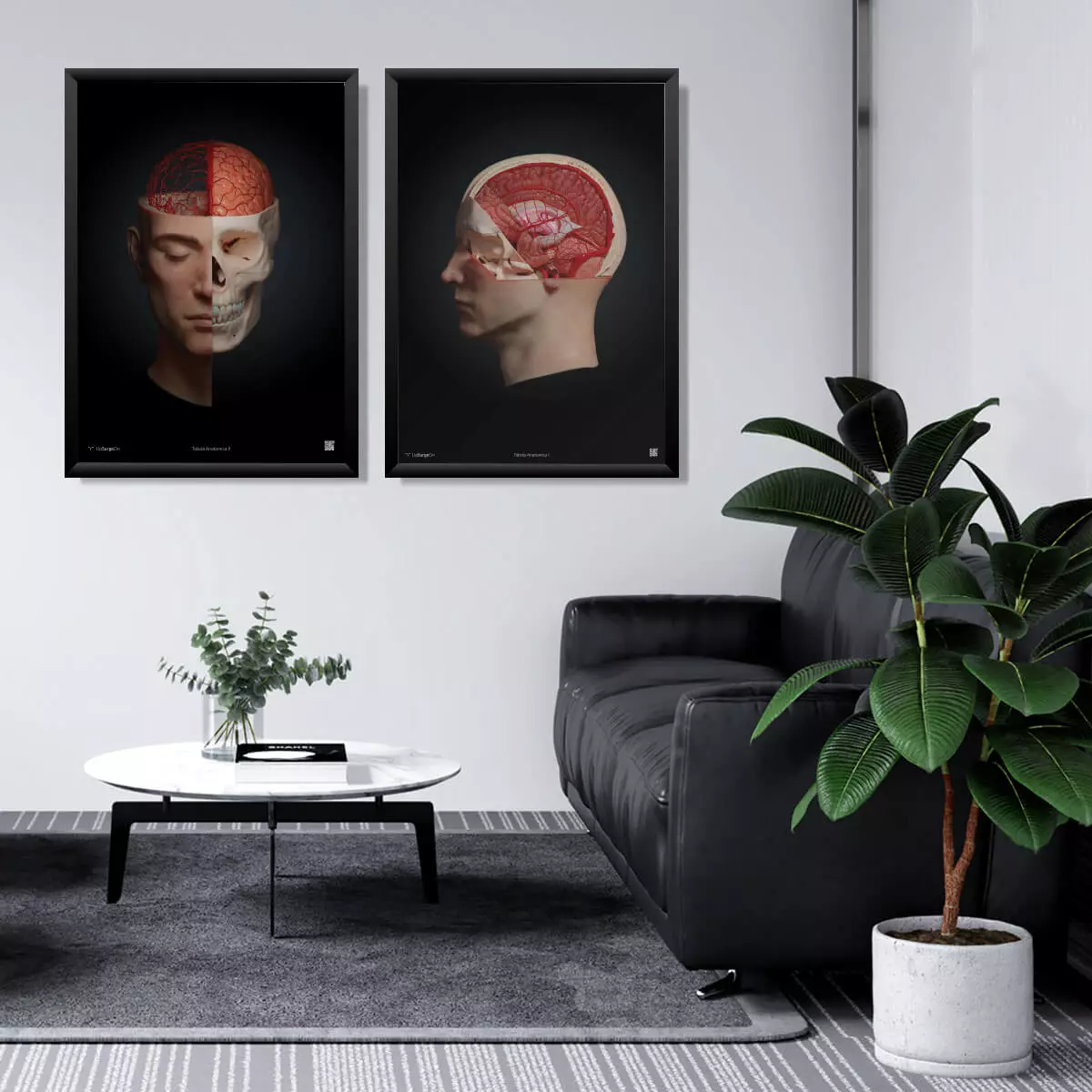  AnatomieARt Tabula Anatomica I