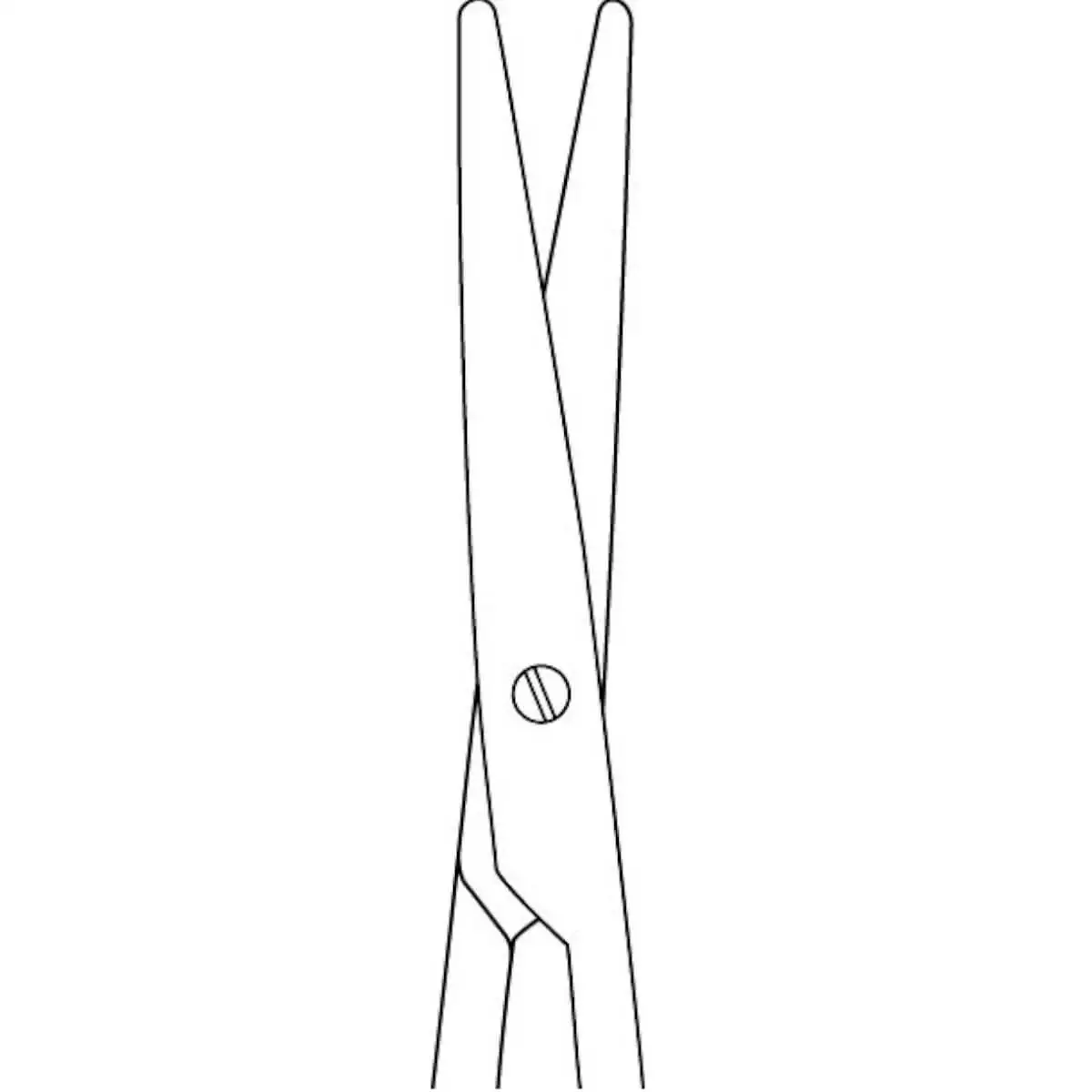  Metzenbaum Schaar