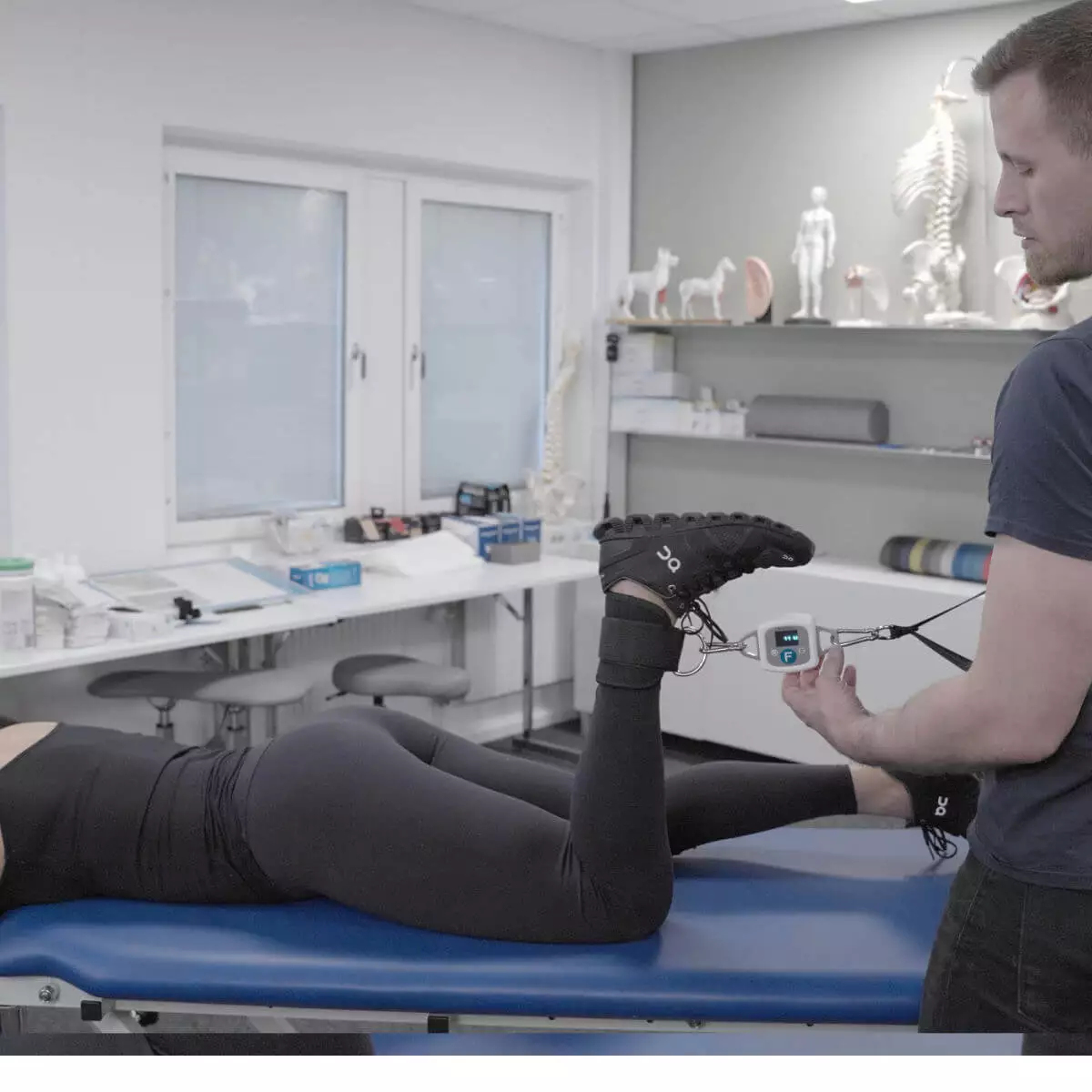  EasyForce - Digitale Dynamometer