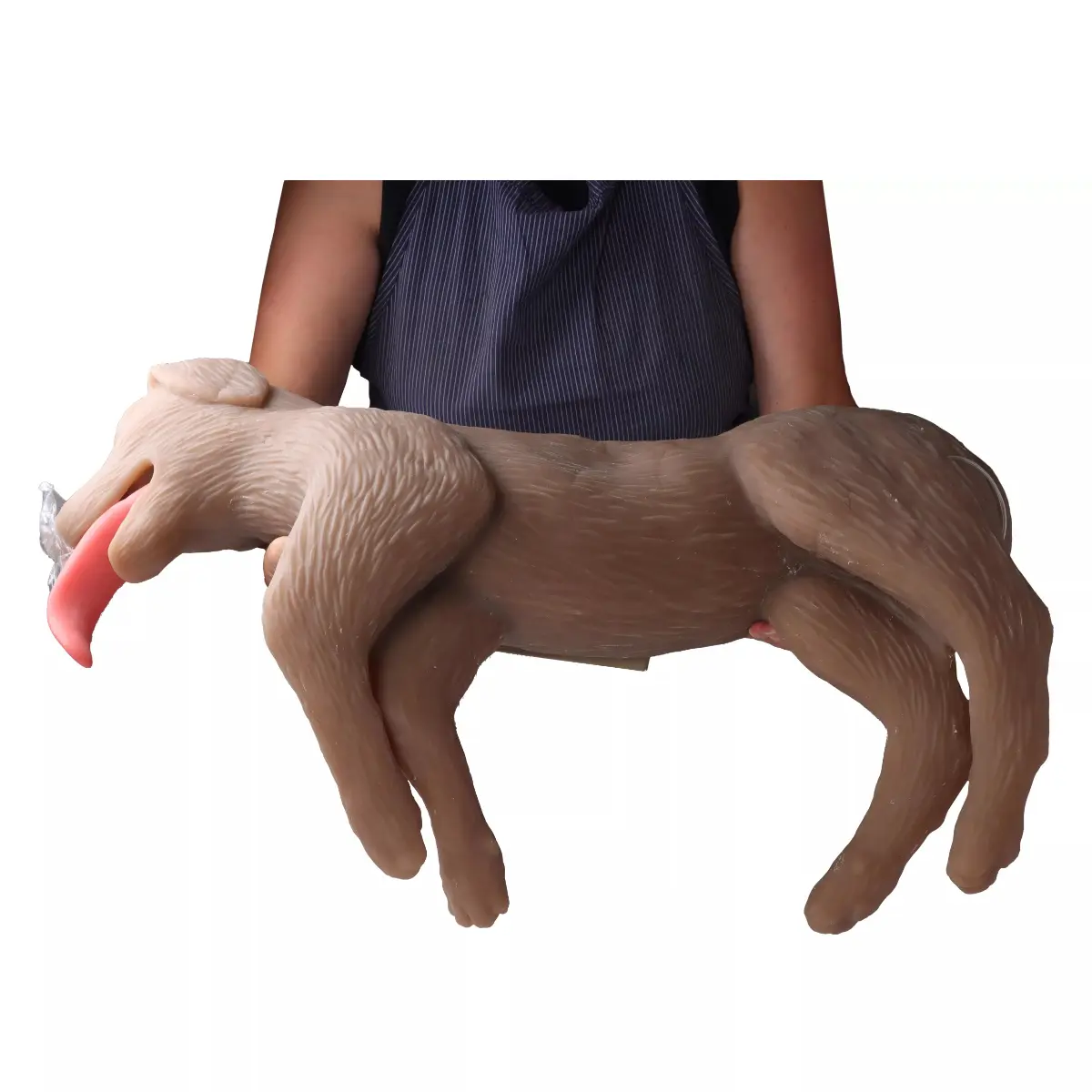 CPR-oefenpop hond “CooPeR” 