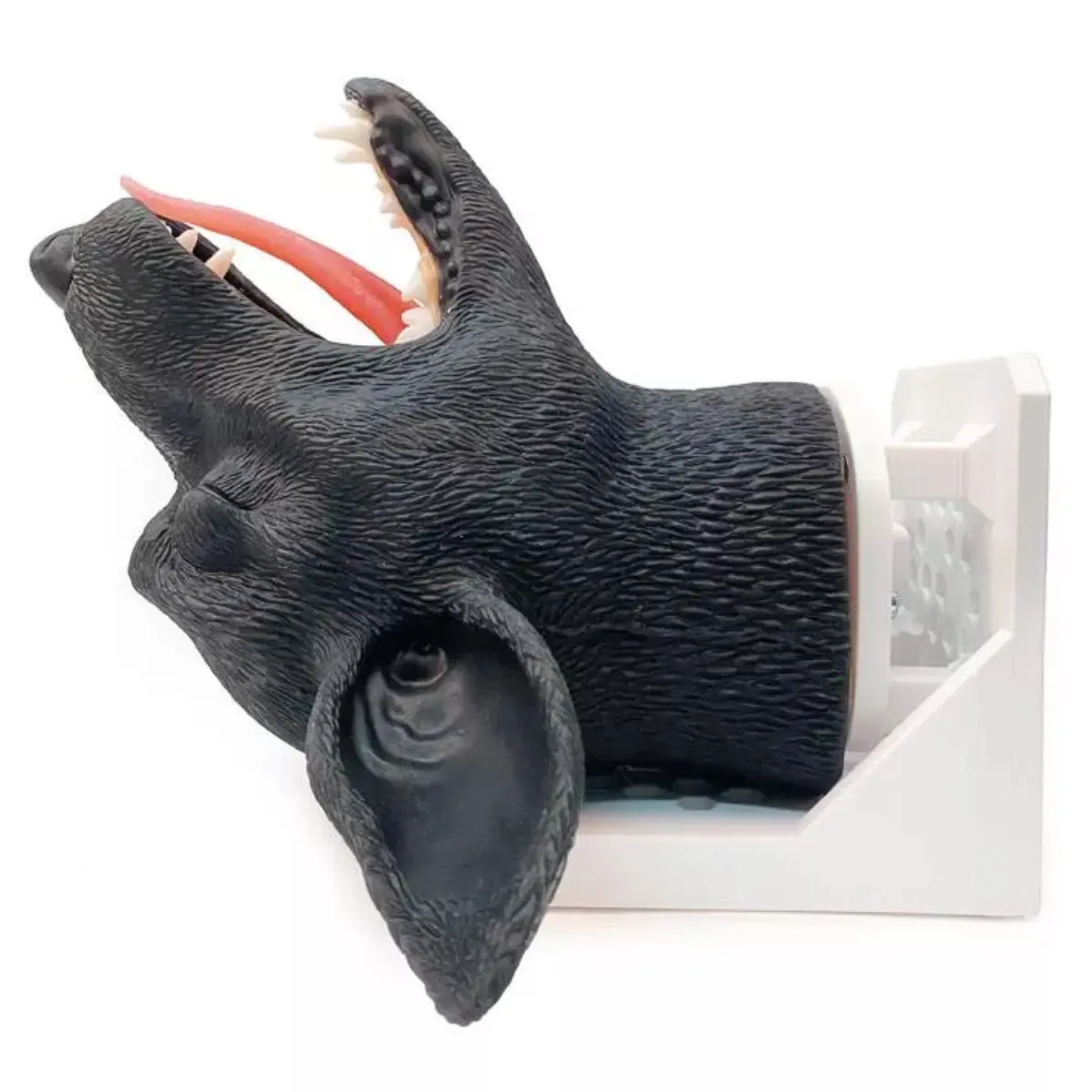  Intubatiekop hond 