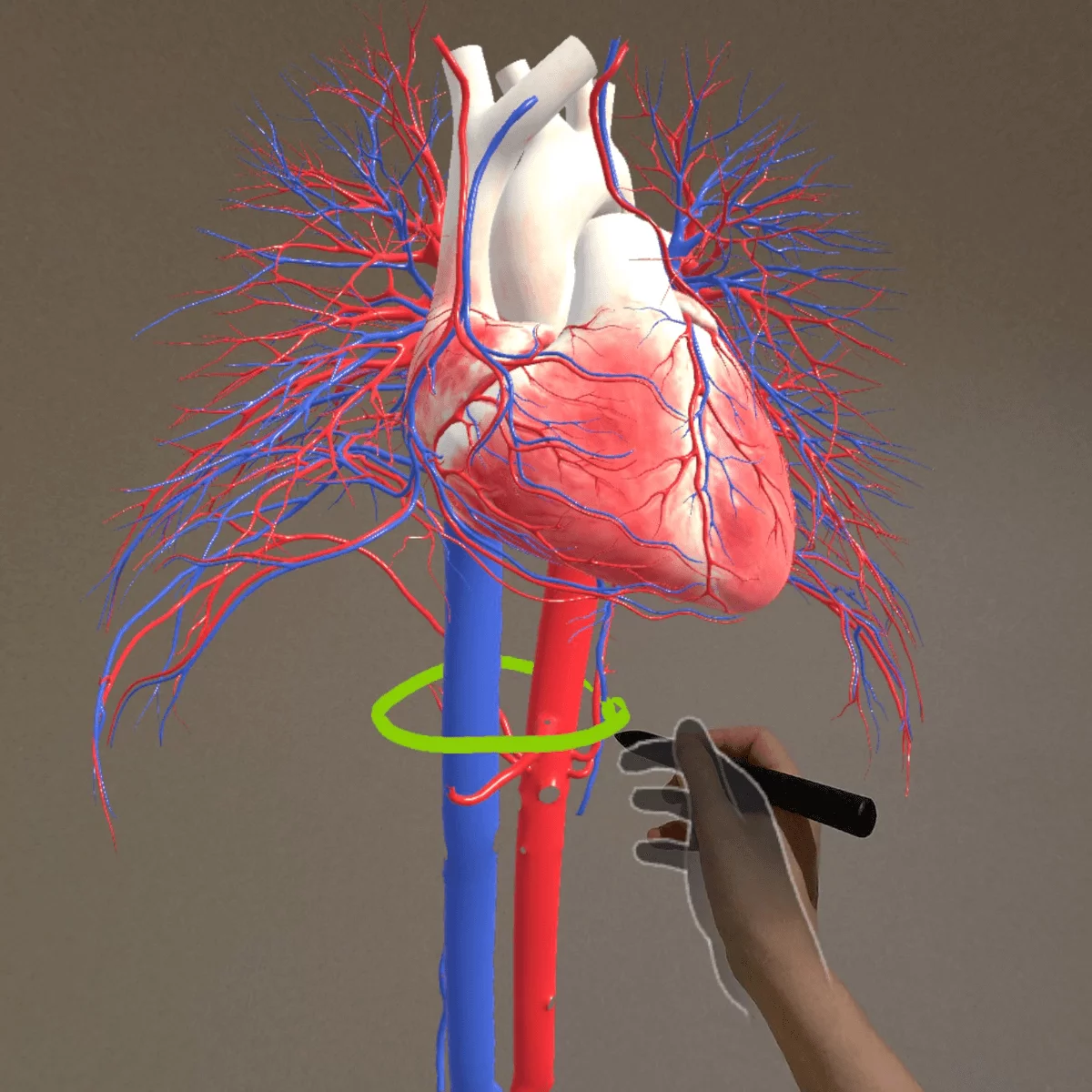  Mixed reality anatomie-app “Corpus” voor Meta Quest 3/3S