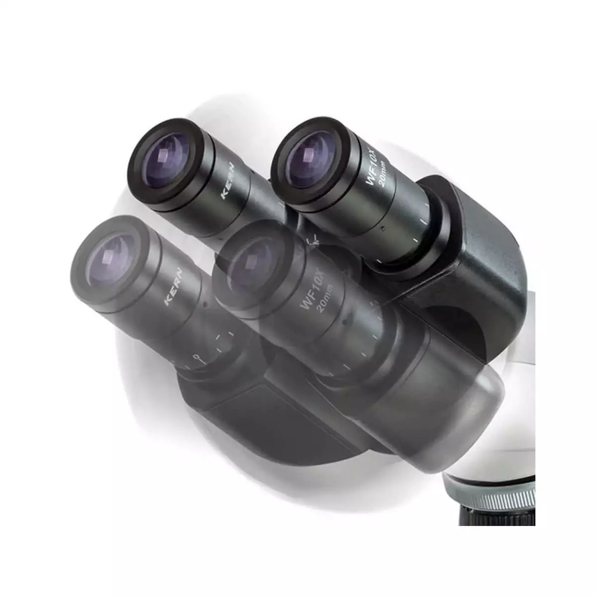  OBL 156 fasecontrastmicroscoop trinoculair