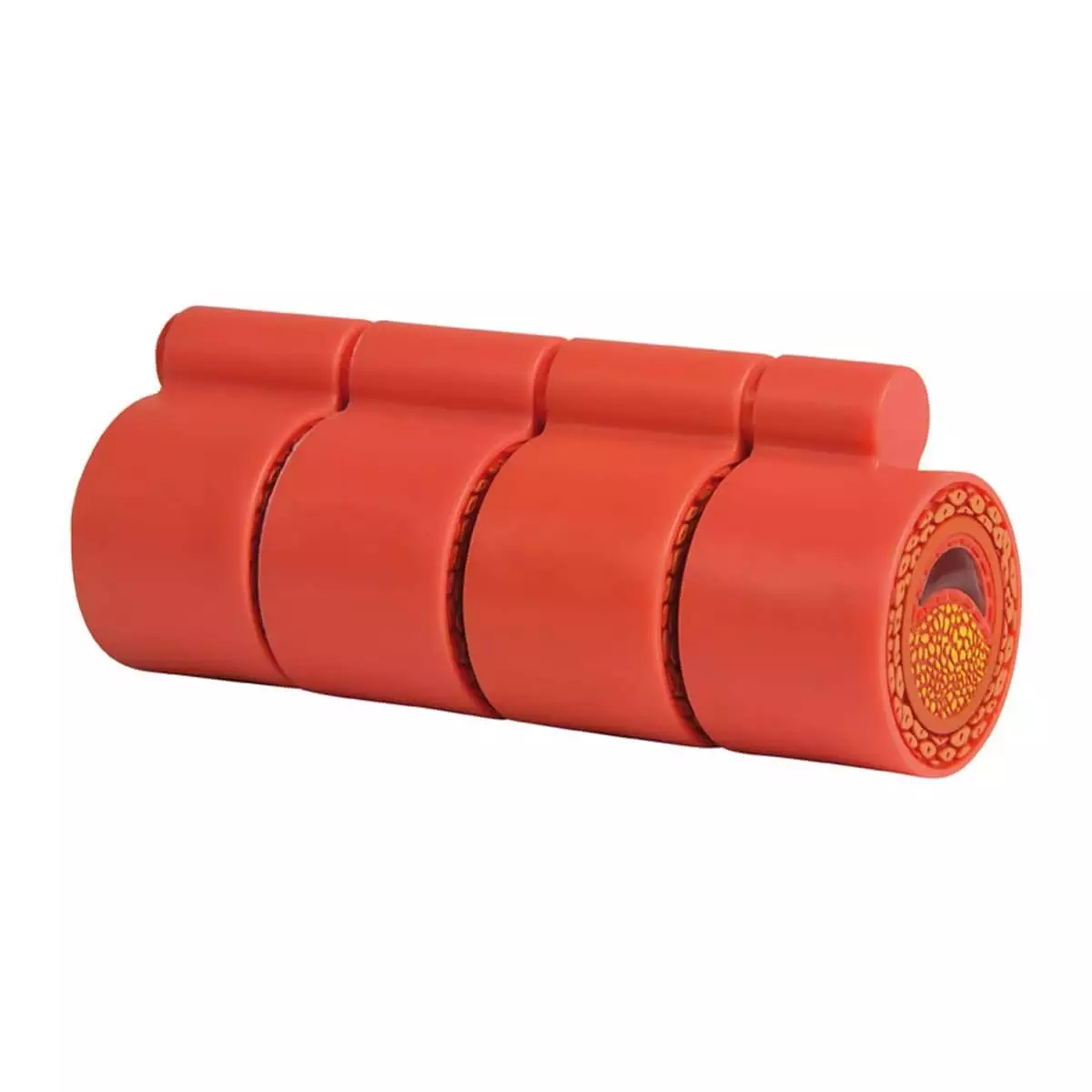 Arteriosclerose model Arteriosclerose model