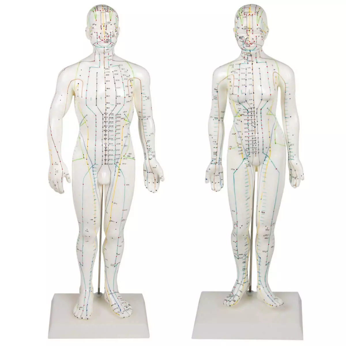  Acupunctuur figuur