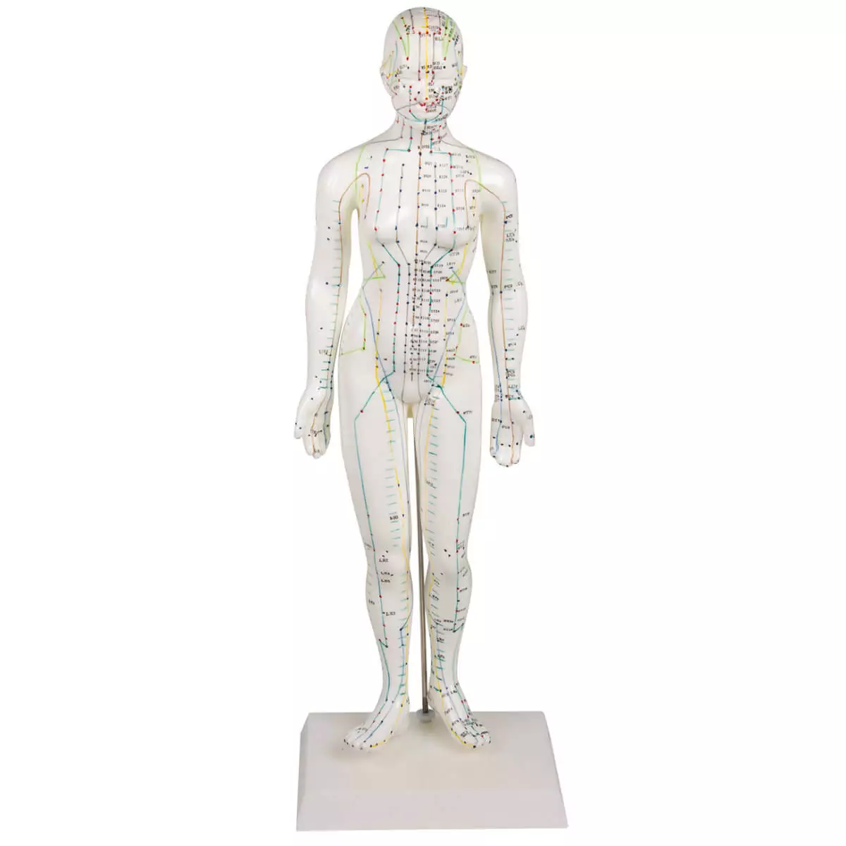  Acupunctuur figuur