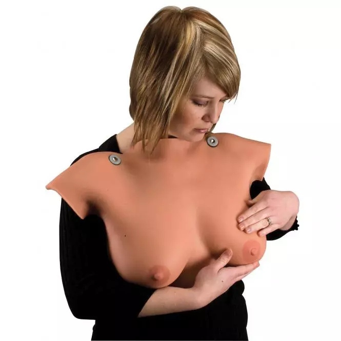  Borst palpatie model