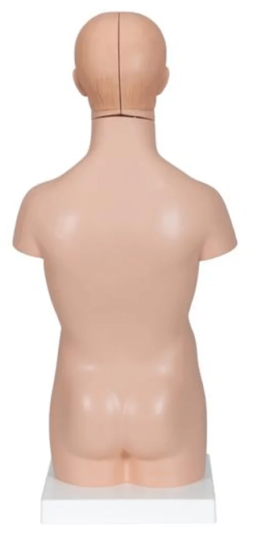  Mini-Torso