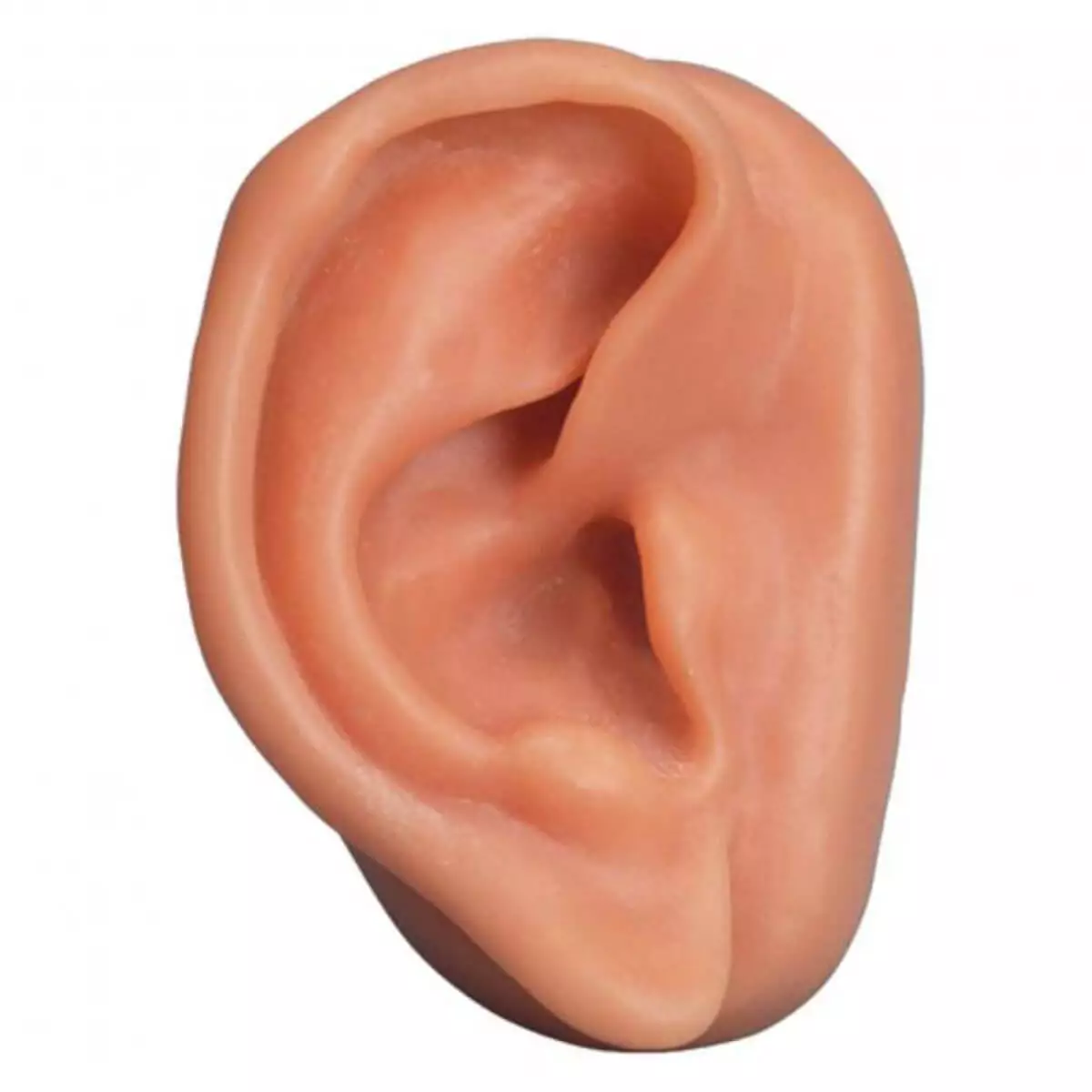  Acupunctuur oor