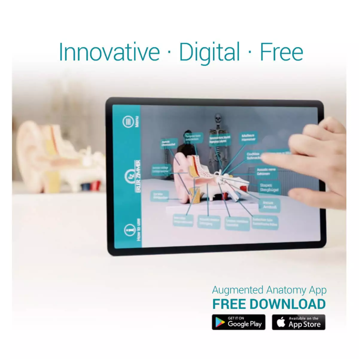  Schoudergewrichtmodel met spieren voor EZ Augmented Anatomy Learning-app