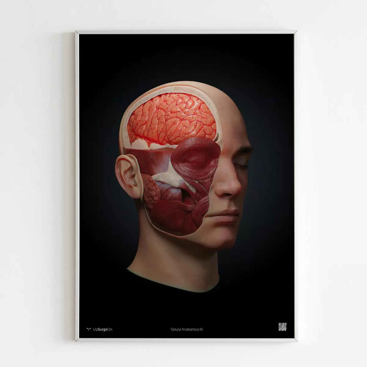  AnatomieARt Tabula Anatomica III