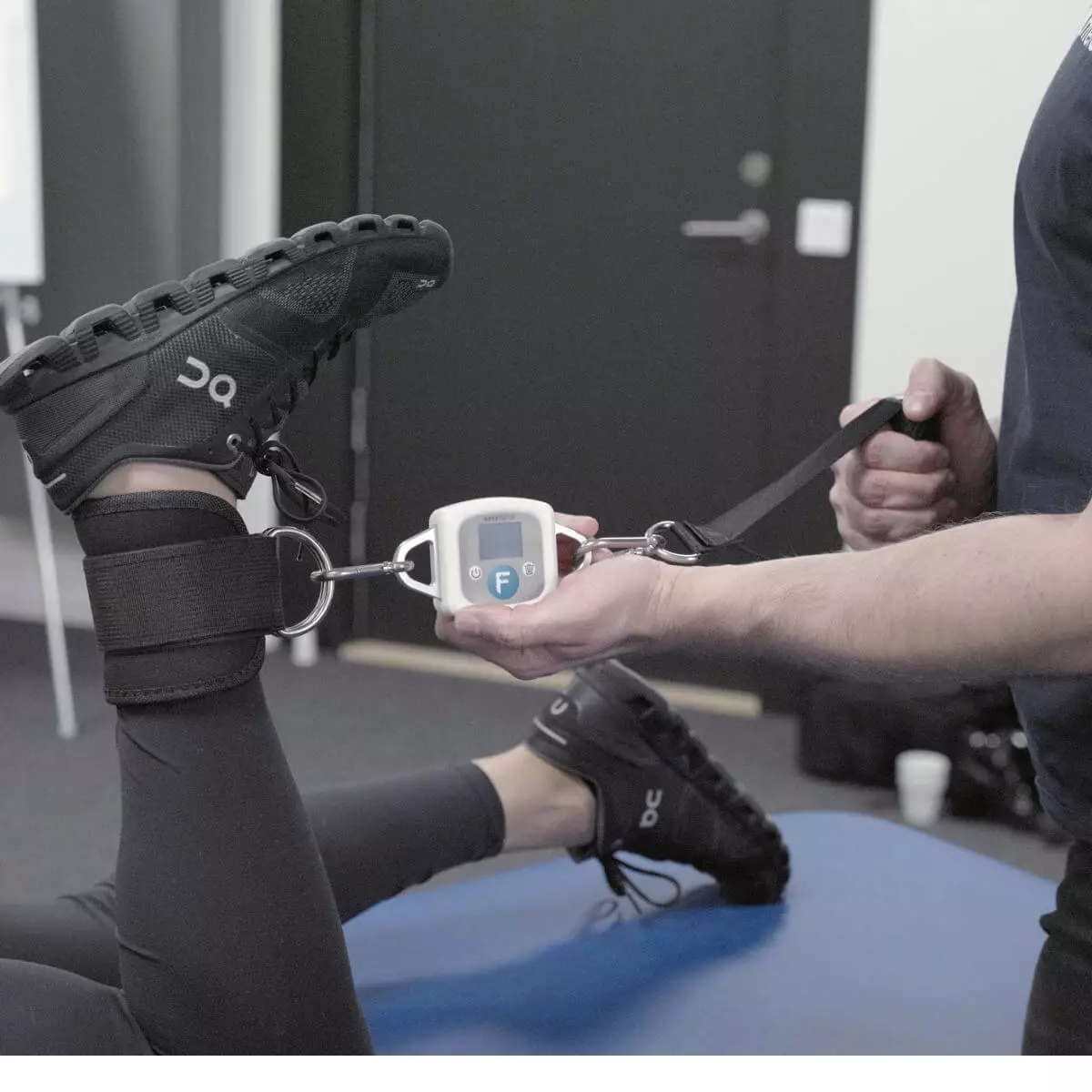  EasyForce - Digitale Dynamometer