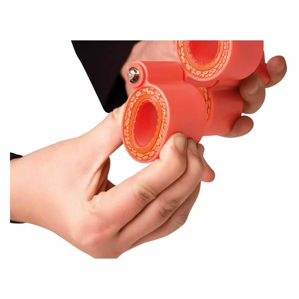 Arteriosclerose model Arteriosclerose model