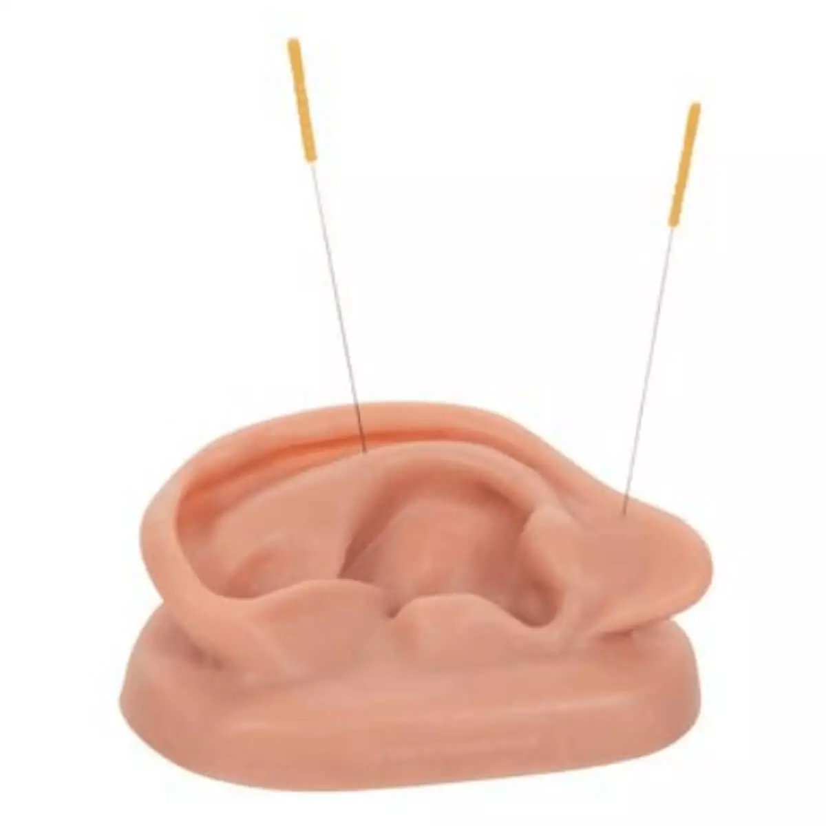  Acupunctuur oor
