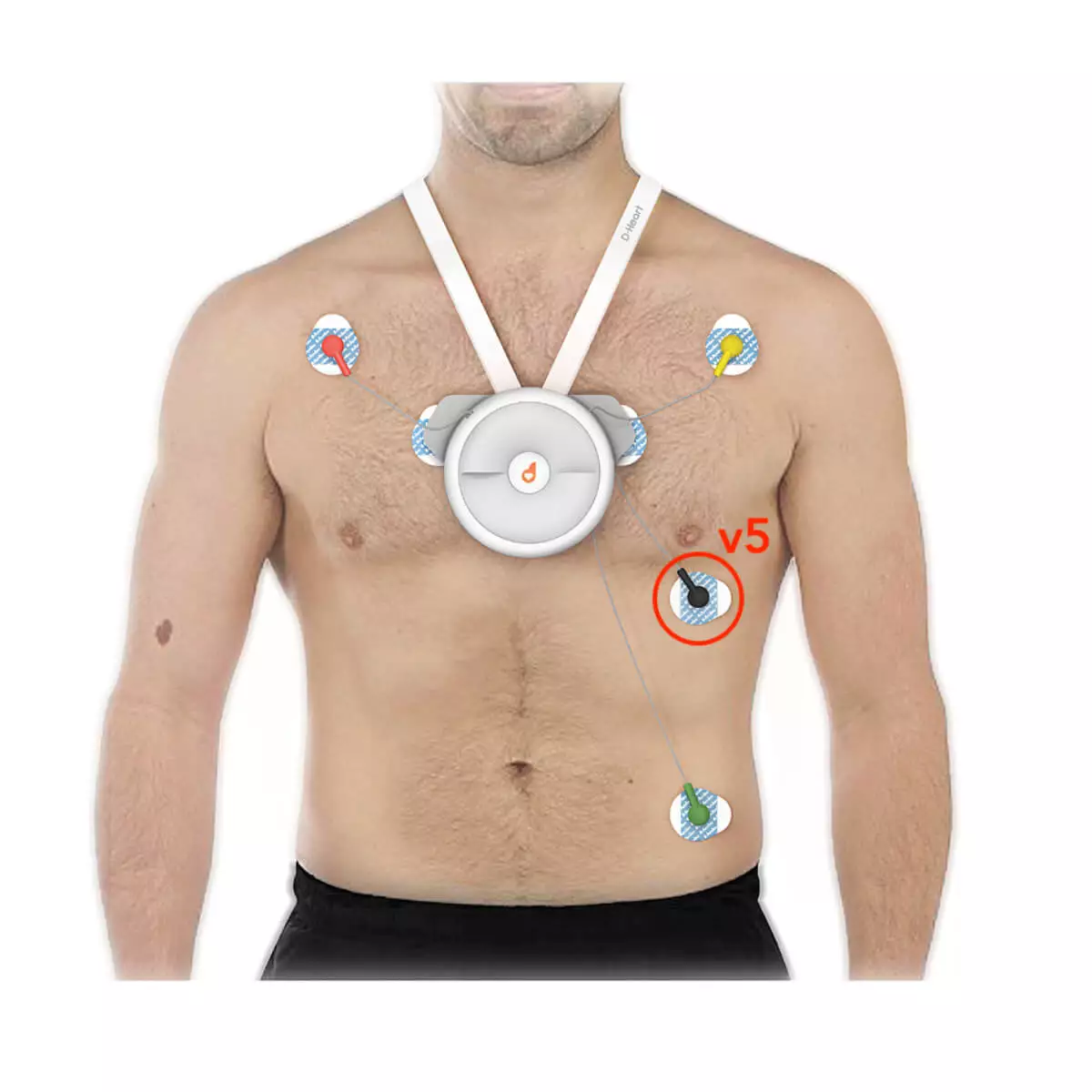  D-Heart - Mobiele 8- en 12-kanaals ECG-eenheid
