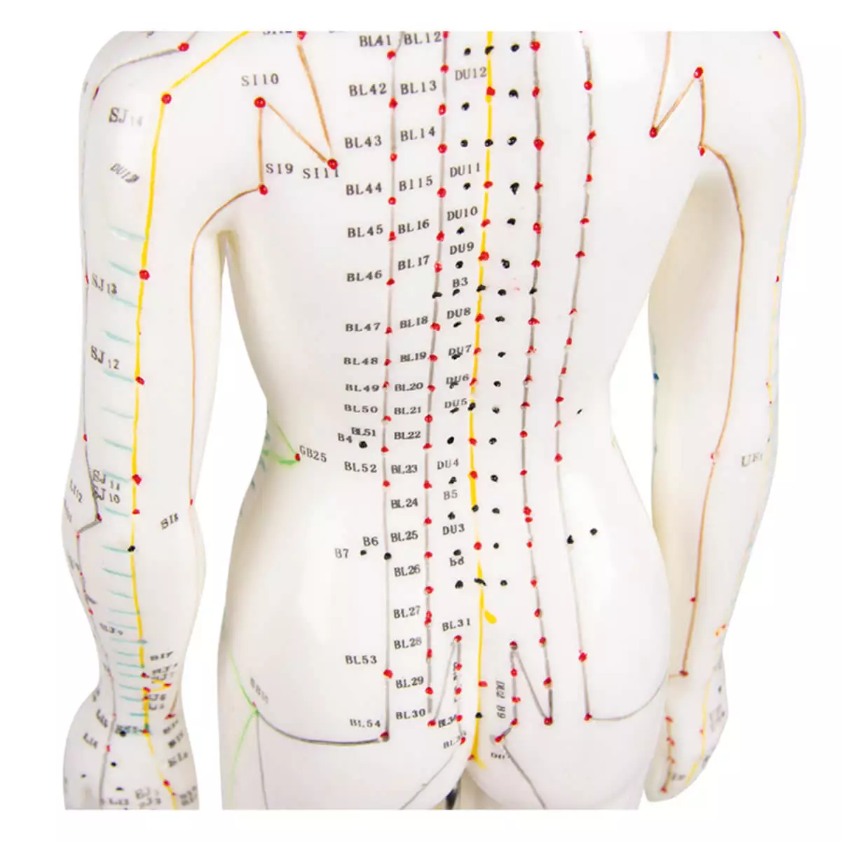  Acupunctuur figuur