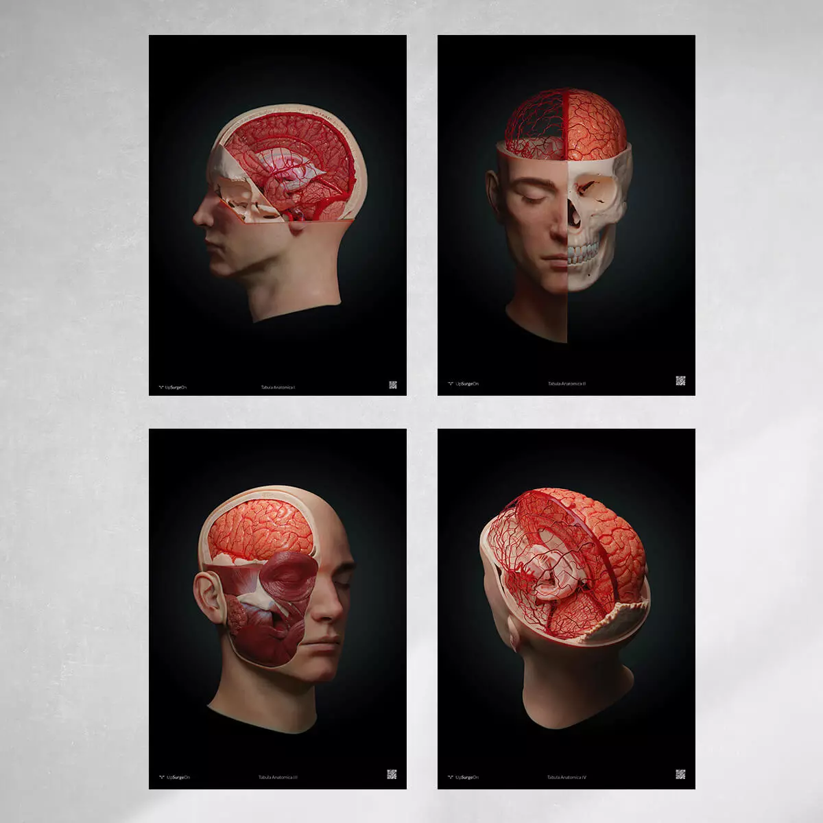 Collectie AnatomyARt  Collectie AnatomyARt