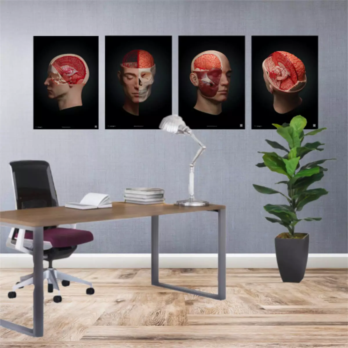  Collectie AnatomyARt