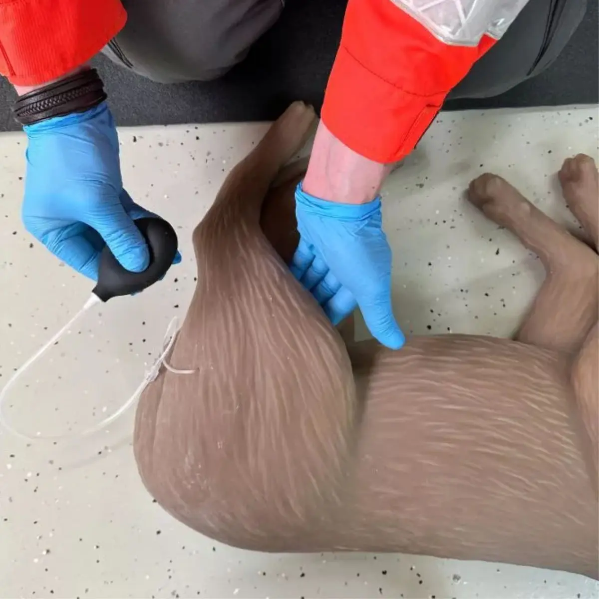  CPR-oefenpop hond “CooPeR” 