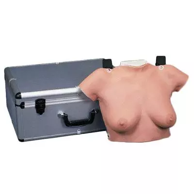  Borst palpatie model