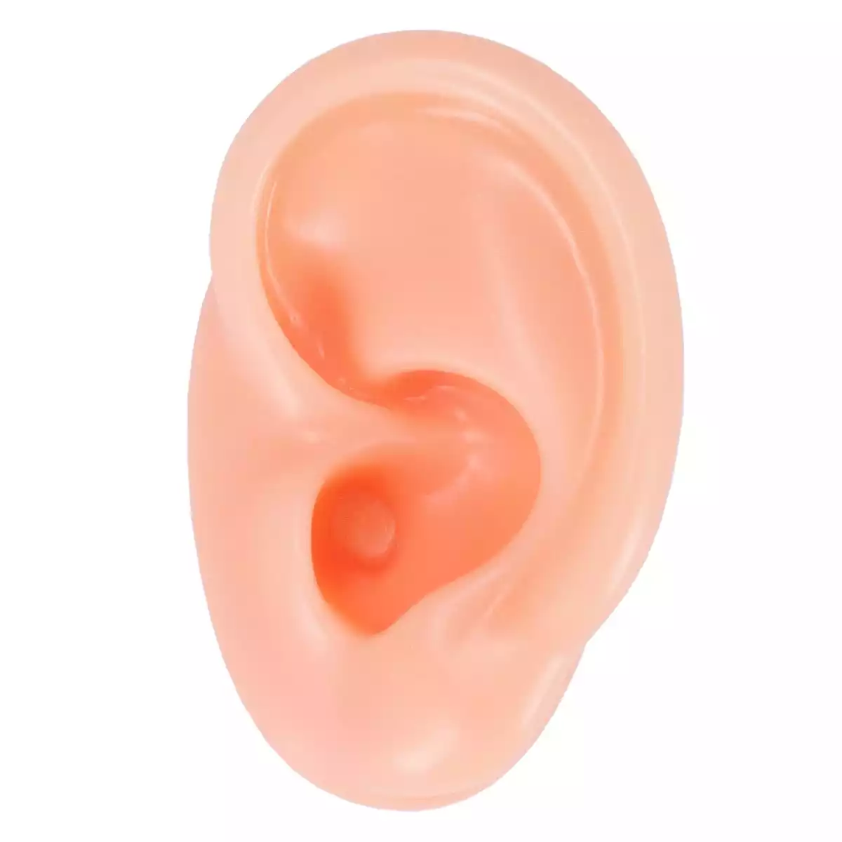 Acupunctuur praktijk oor  Acupunctuur praktijk oor