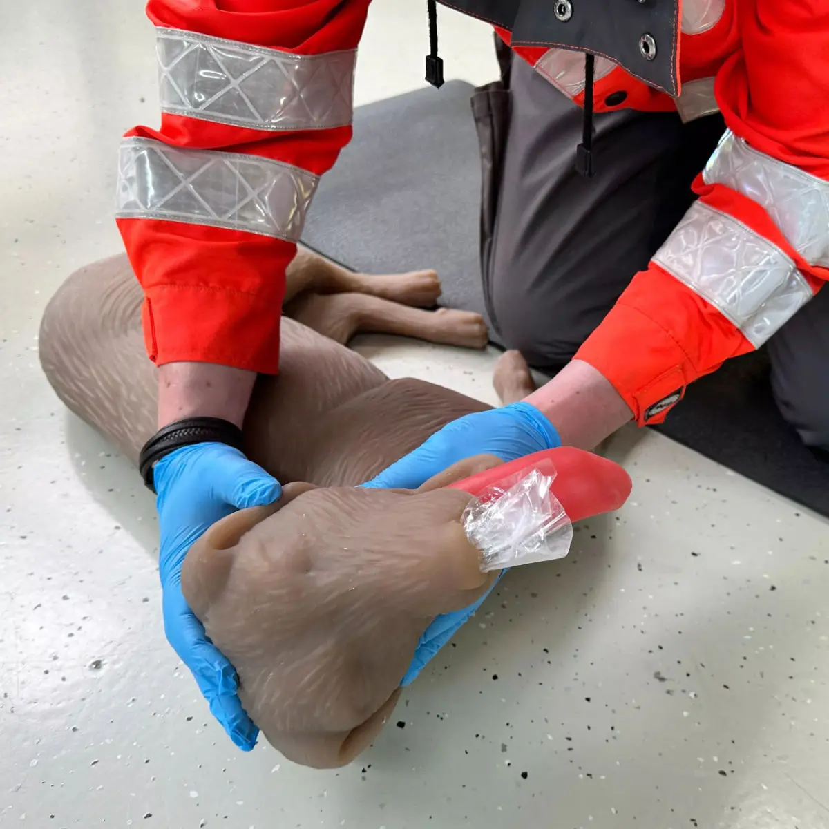  CPR-oefenpop hond “CooPeR” 