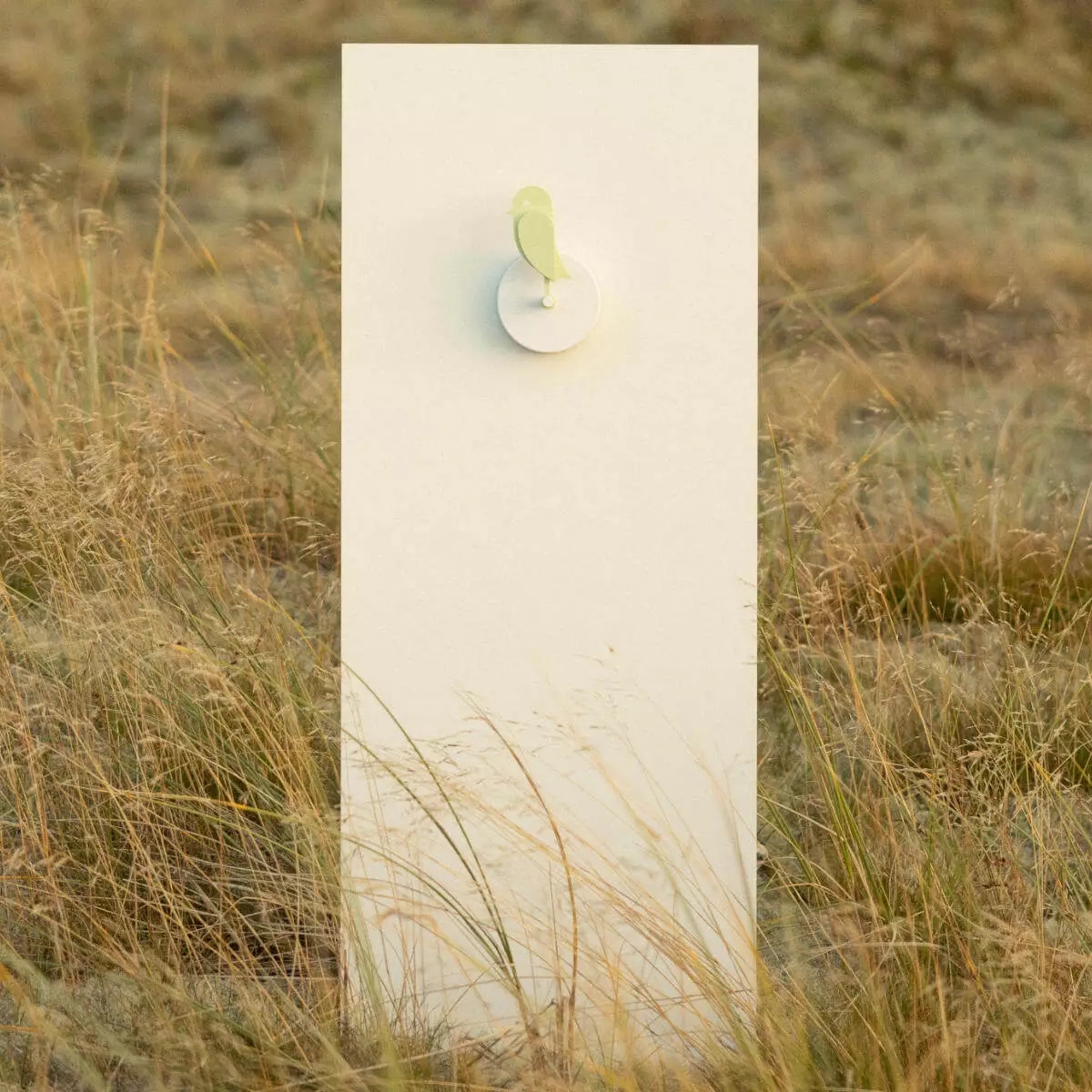  Luchtkwaliteitssensor Birdie 2.0