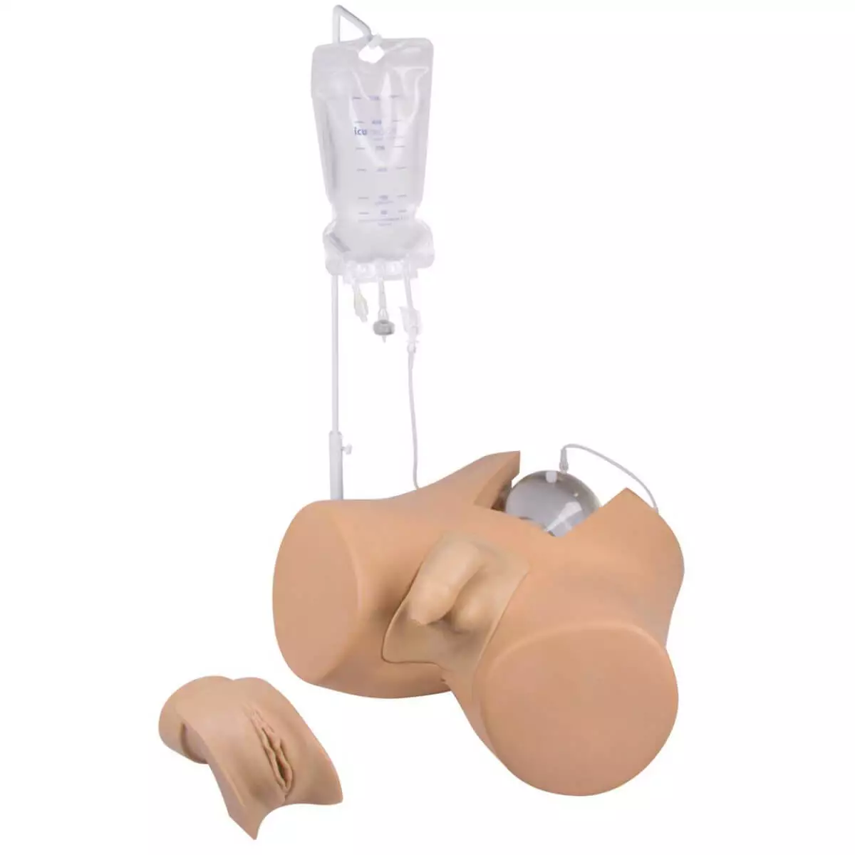  Katheterisatiemodel met genitale inserts