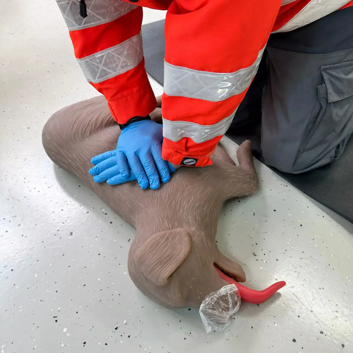  CPR-oefenpop hond “CooPeR” 