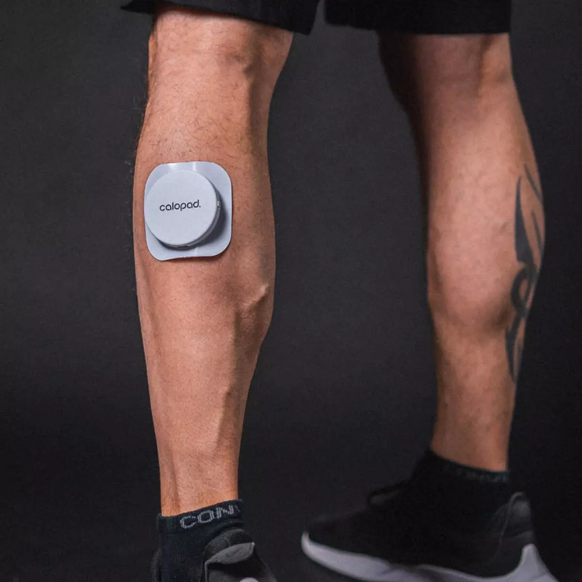  Calopad diepe warmtepleister