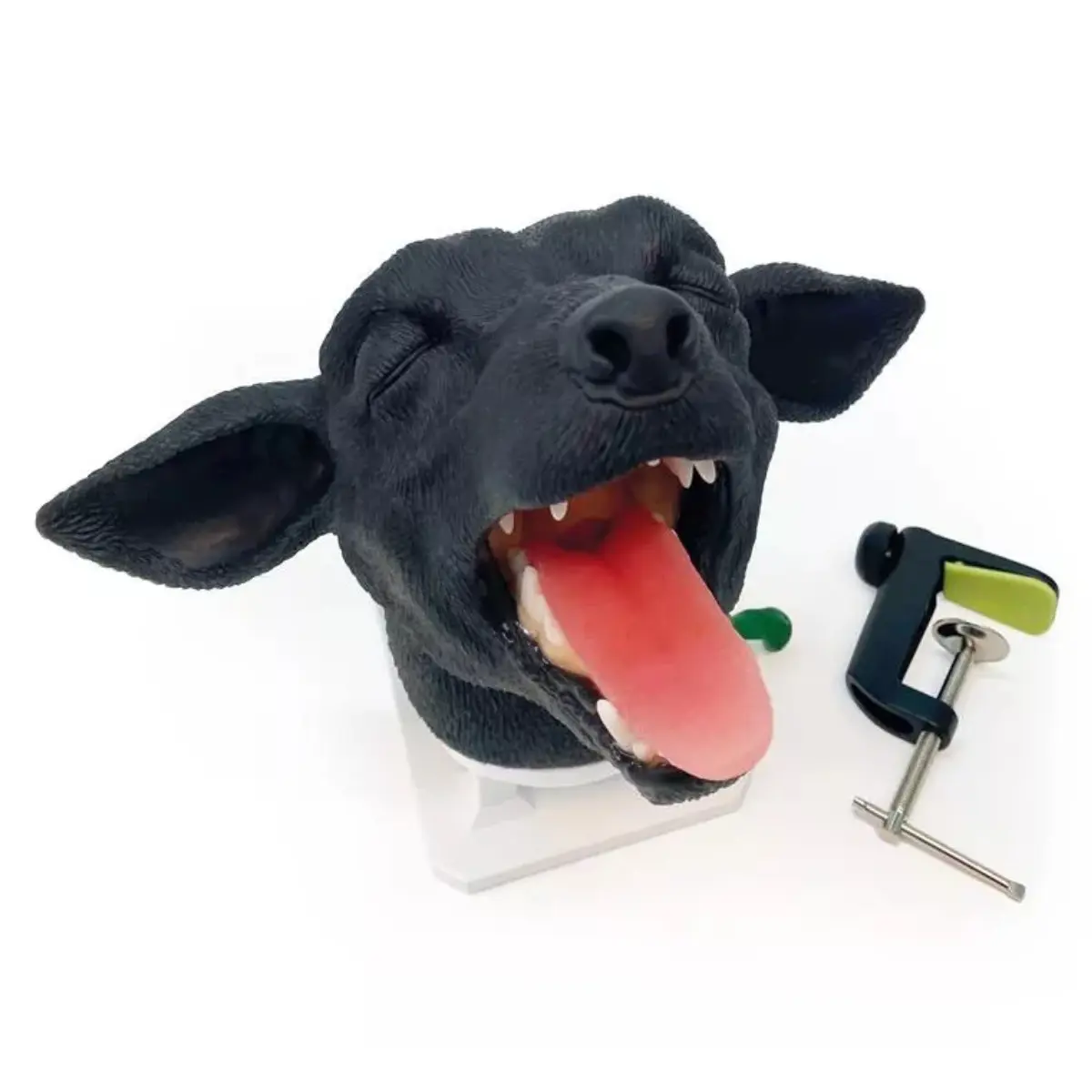  Intubatiekop hond 