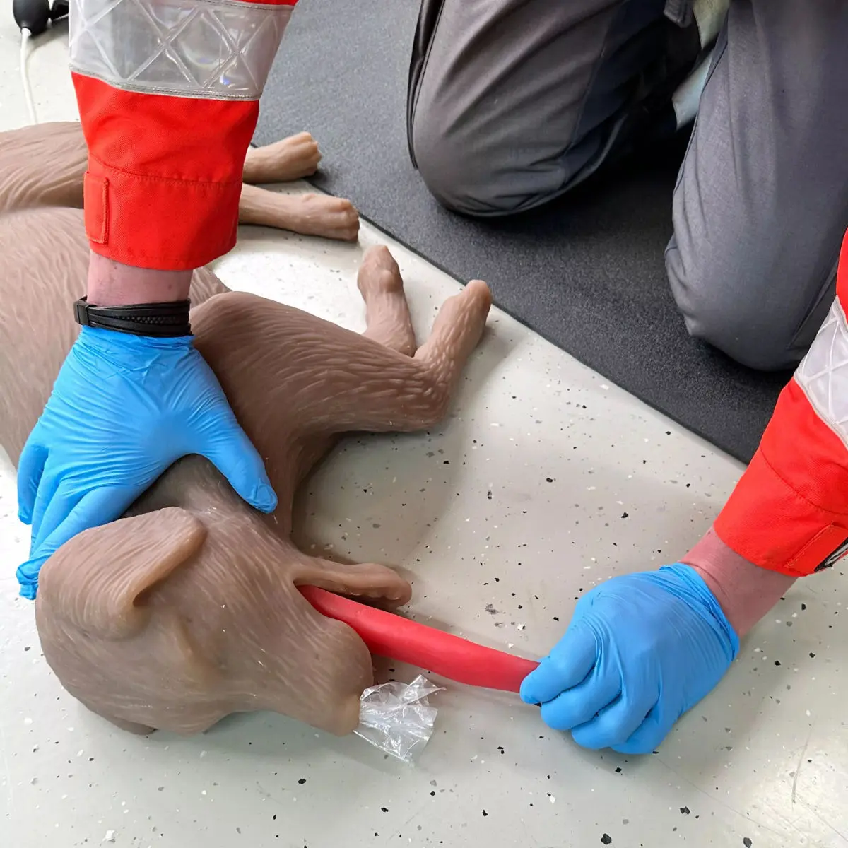  CPR-oefenpop hond “CooPeR” 