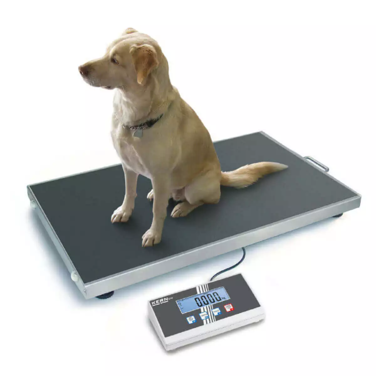  EOS Veterinaire Weegschaal