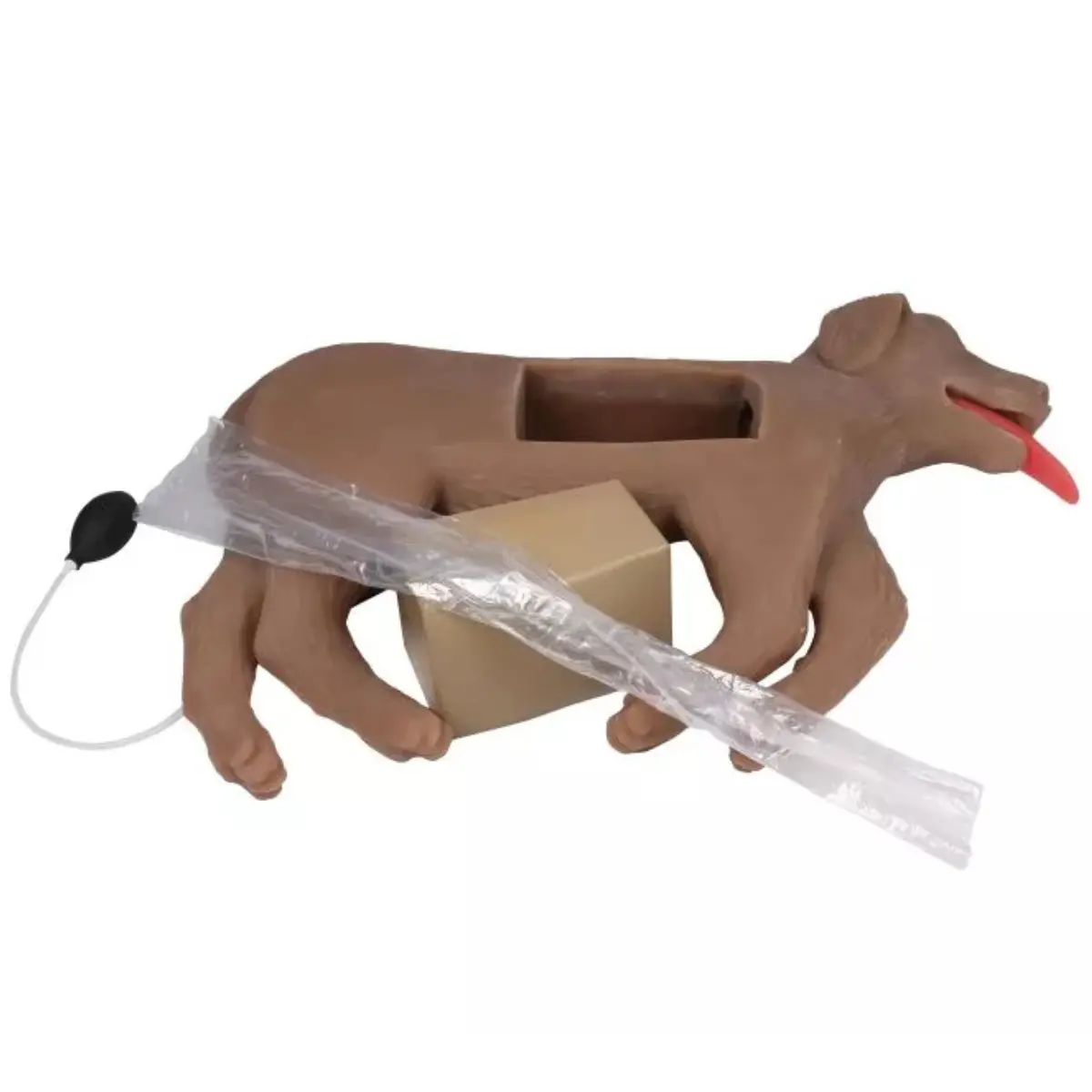  CPR-oefenpop hond “CooPeR” 