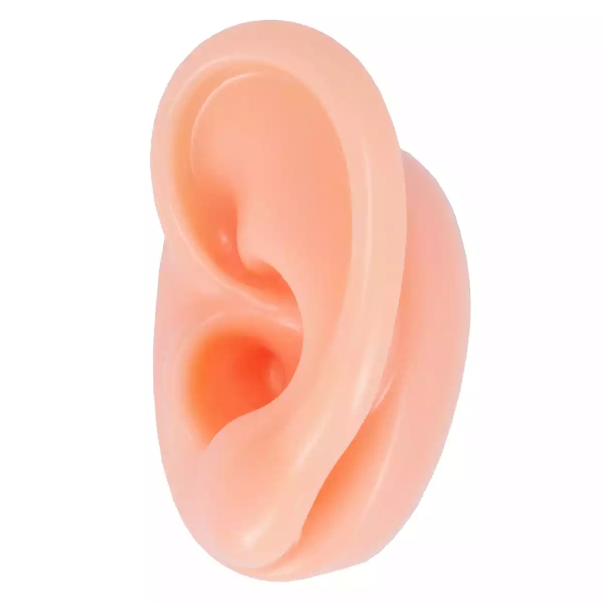 Acupunctuur praktijk oor  Acupunctuur praktijk oor