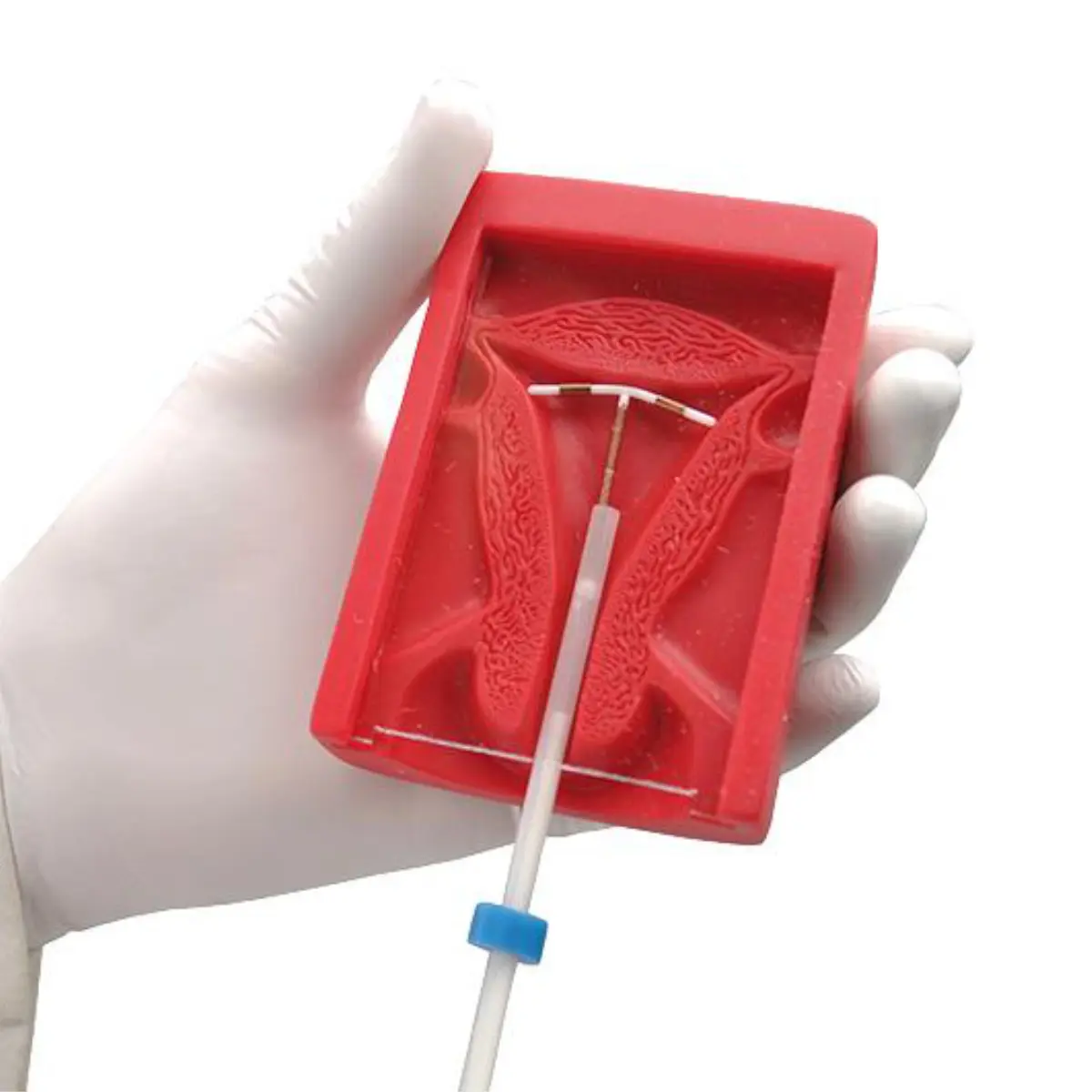  IUD-oefeningsmodel 