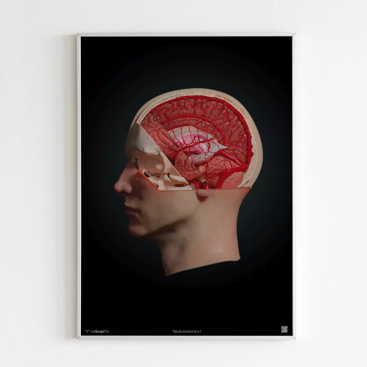  AnatomieARt Tabula Anatomica I