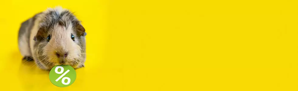 Kategoriebanner Staffelpreise Mehrscheinweichen 980x300