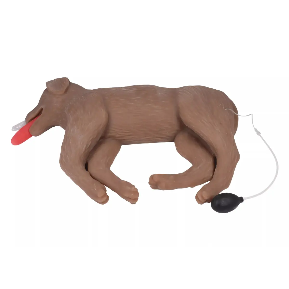  CPR-oefenpop hond “CooPeR” 