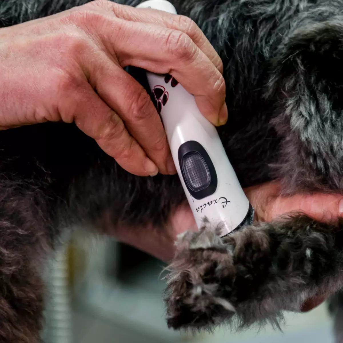  Exacta GT416 tondeuse voor dieren